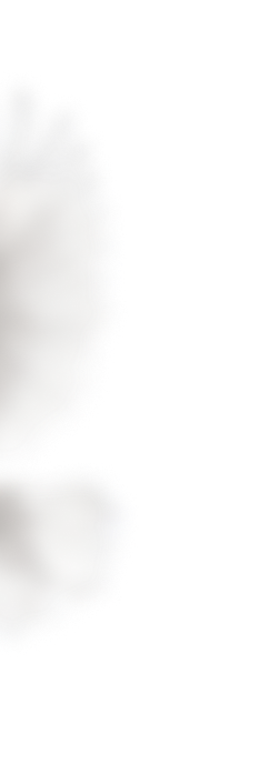 Dove left